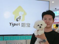 -翊宠yipet猫狗购宠庄园