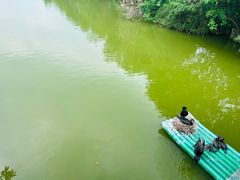 -星湖旅游景区七星岩