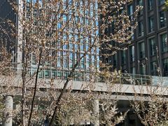 -陆家嘴世纪金融广场