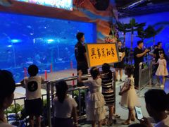 -白鹿仓冰雪海洋世界