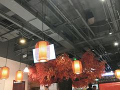 大堂-雲蜀龙阁·金牌水煮鱼(方庄店)