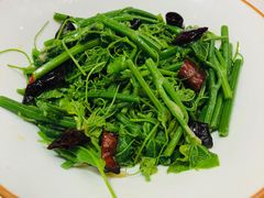 -金狮麟·新豫菜(金码大厦店)
