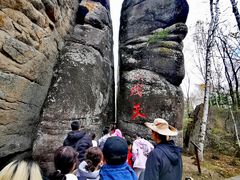 -汤旺河林海奇石景区