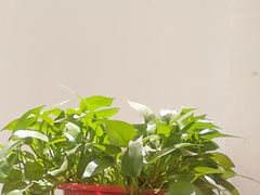 -王府井酒店(金桥港湾店)