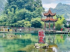 -靖西鹅泉风景区