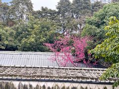 -凤来栖·净庭院·火锅(欧尚店)