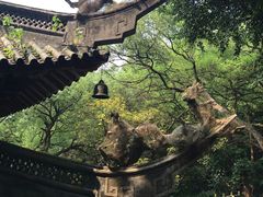 -广州市白云山风景名胜区