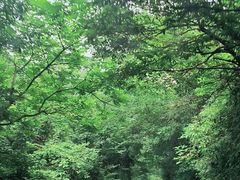-三叠泉瀑布