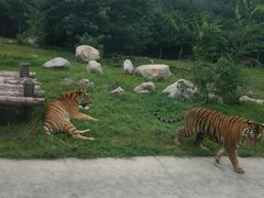 -西安秦岭野生动物园