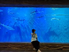 -华夏文旅海洋公园