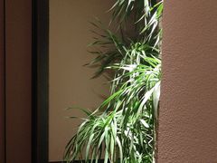 -青年公社烤鸭(肇嘉浜路店)