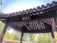 -上海佘山国家森林公园东门地面停车场