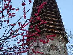 -玲珑塔公园