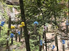 -赤水丹霞旅游区·佛光岩