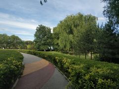 -青城公园