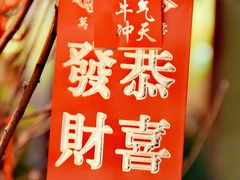 -蝶园·装修中(BFC外滩金融中心店)