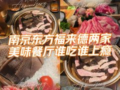 -东方福来德