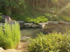 -云溪植物园
