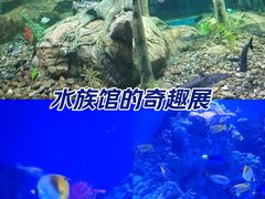 -广州海洋馆