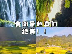 -贵厨酸汤牛肉(花果园国际中心店)