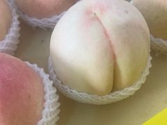 -老袁家蜜桃农场·阳山水蜜桃