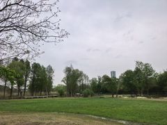 -长广溪湿地公园