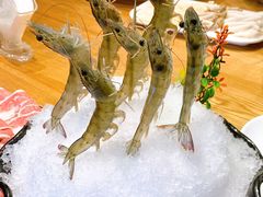 -尚海豆捞(乐虹坊店)