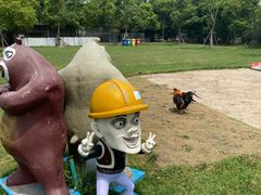 -上海海湾国家森林公园