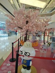-万达宝贝王(桂林叠彩店)