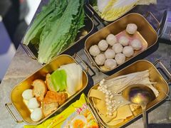 -Darling Queen·Mini·Live·House