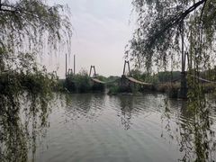 -灞河西岸滨河公园