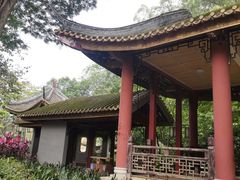 -顺峰山公园