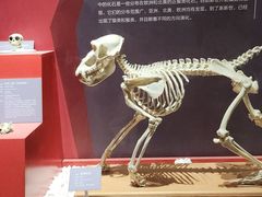 -国家自然博物馆