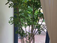 -金谷仓家庭料理(马泉营店)