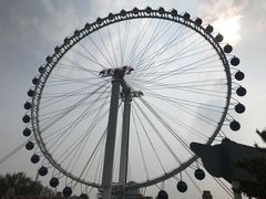 -北京石景山游乐园