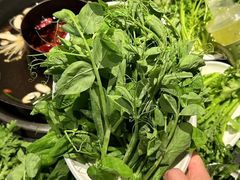-巴蜀大将火锅(春熙店)