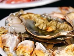 -凯华海鲜火锅·传承三十六年