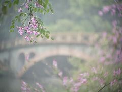 -华南国家植物园-售票处