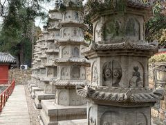 -泰山风景名胜区-普照寺
