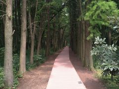 -同里国家湿地公园
