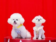 -砂之船奥特莱斯(合肥店)