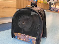-萌兽医馆·犬猫专科·眼科中心·宠物医院(朝阳门分院)