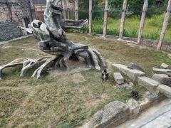 -南昌动物园