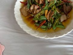 -明升萝卜汤