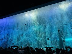 -波塞冬海底世界