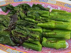 -大中鱼翅 Taitong Shark Fin