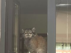 -青藏高原野生动物园
