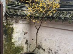 -宁波市保国寺古建筑博物馆