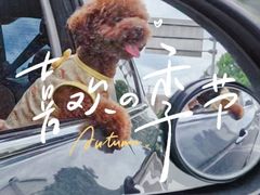 -瑞虹新天地月亮湾