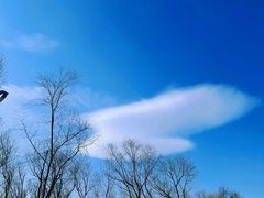 -野鸭湖国家湿地公园